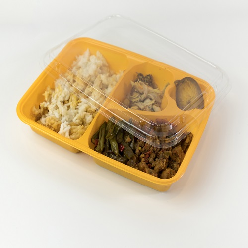 Tray Bento